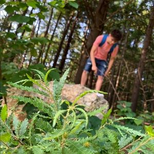 Meet your Posher, Jacob